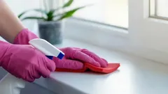 Úklid parapetu u okna, růžové rukavice, sprej, červený hadřík, květina v pozadí
